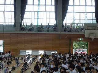 3982-1.jpg