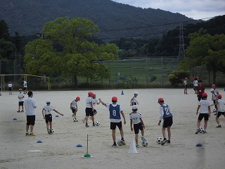 3986-2.jpg