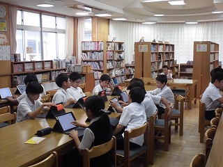 3986-3.jpg