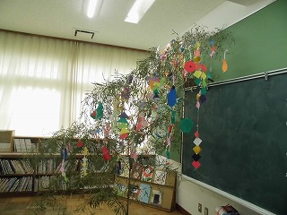 4006-2.jpg