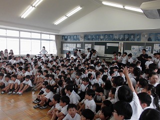 4007-3.jpg