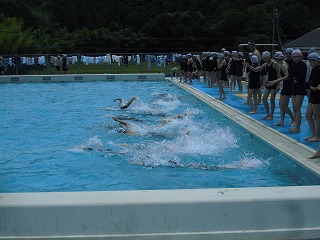 4010-3.jpg