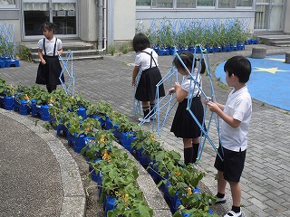 4012-3.jpg