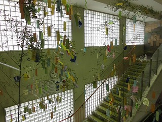 4040-1.jpg
