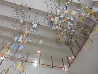 4040-2.jpg