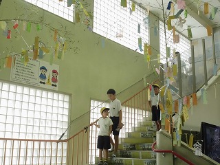 4040-3.jpg