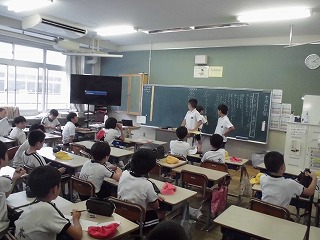 4051-3.jpg