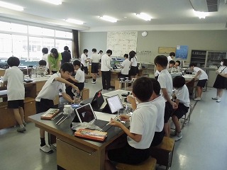 4052-1.jpg