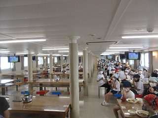 4081-2.jpg