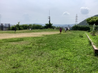 1541-2.jpg