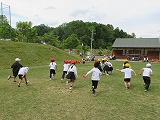 228-1.jpg