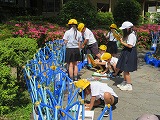 239-3.jpg