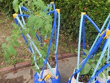 261-2.jpg