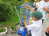 261-3.jpg