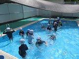 263-3.jpg