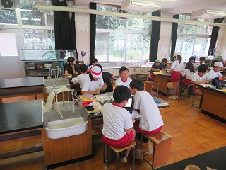 55-1.jpg