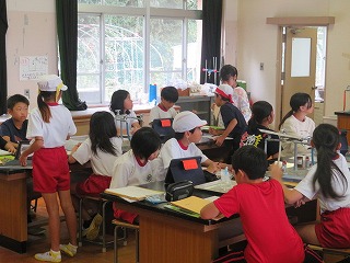 55-3.jpg