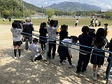 95-1.jpg
