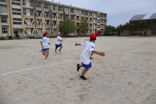 649-3.jpg