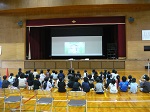 253-1.jpg