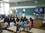 261-1.jpg