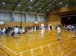 264-2.jpg