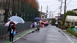 137-1.jpg