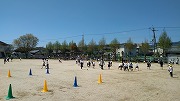 141-3.jpg