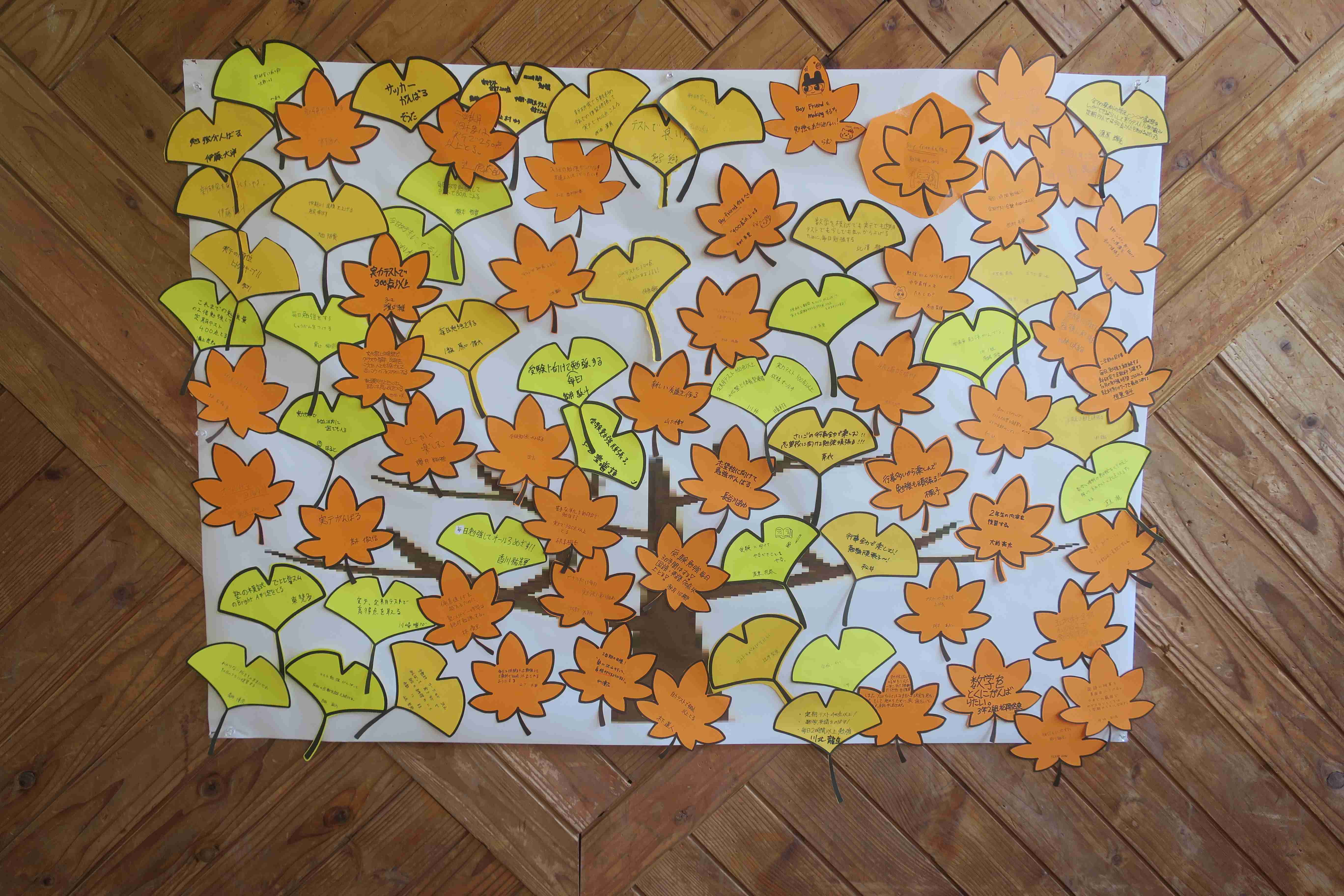3080-3.jpg