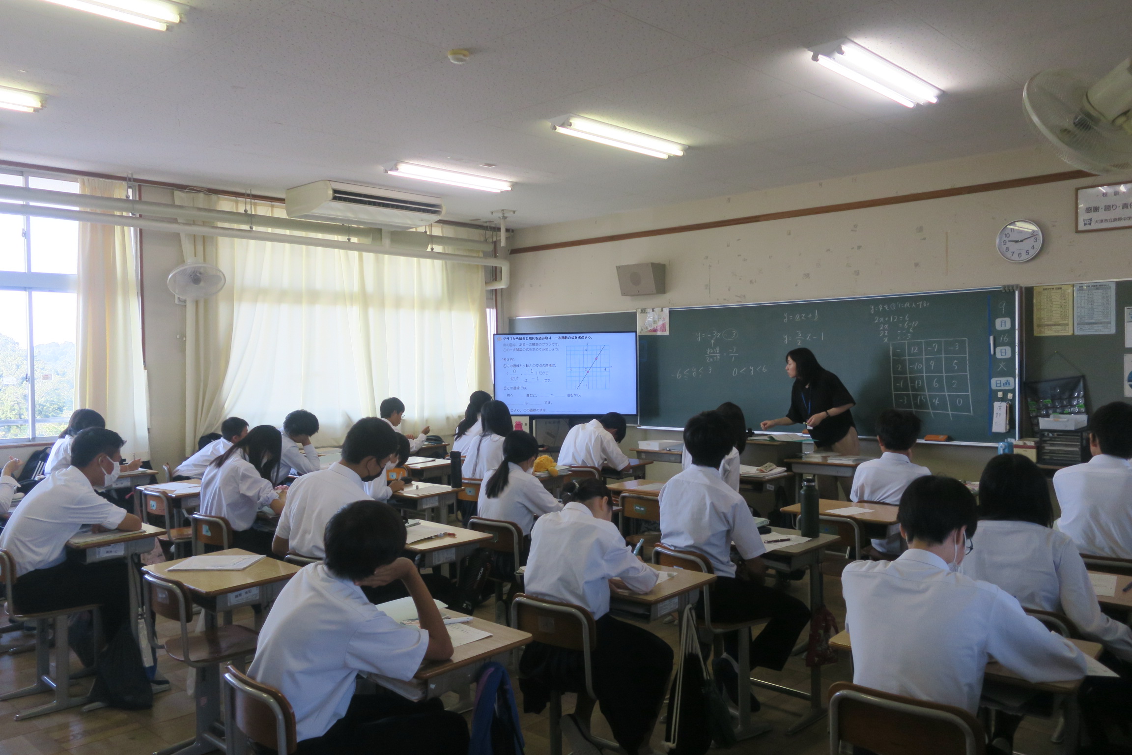 3134-2.jpg