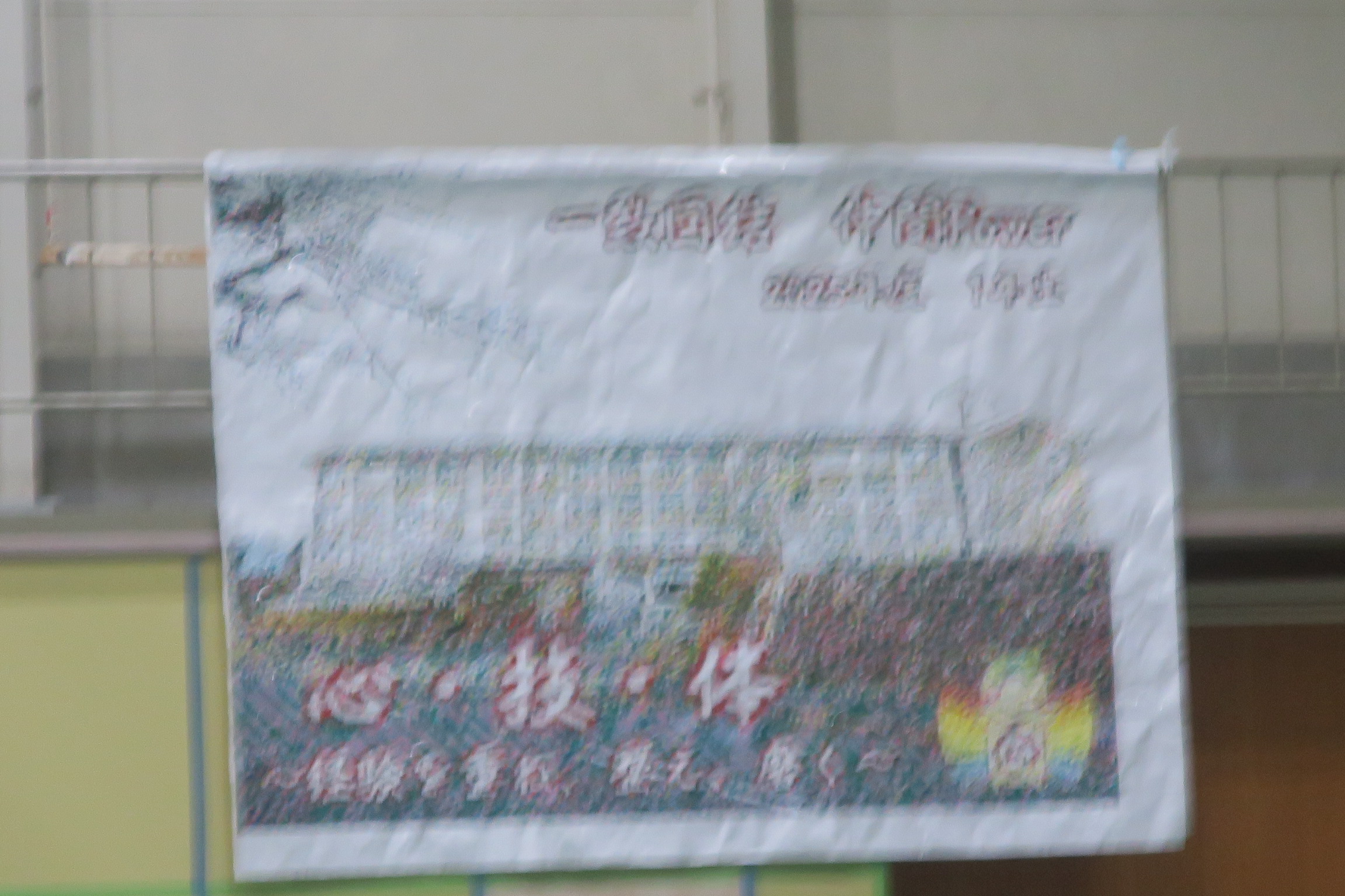 3151-2.jpg