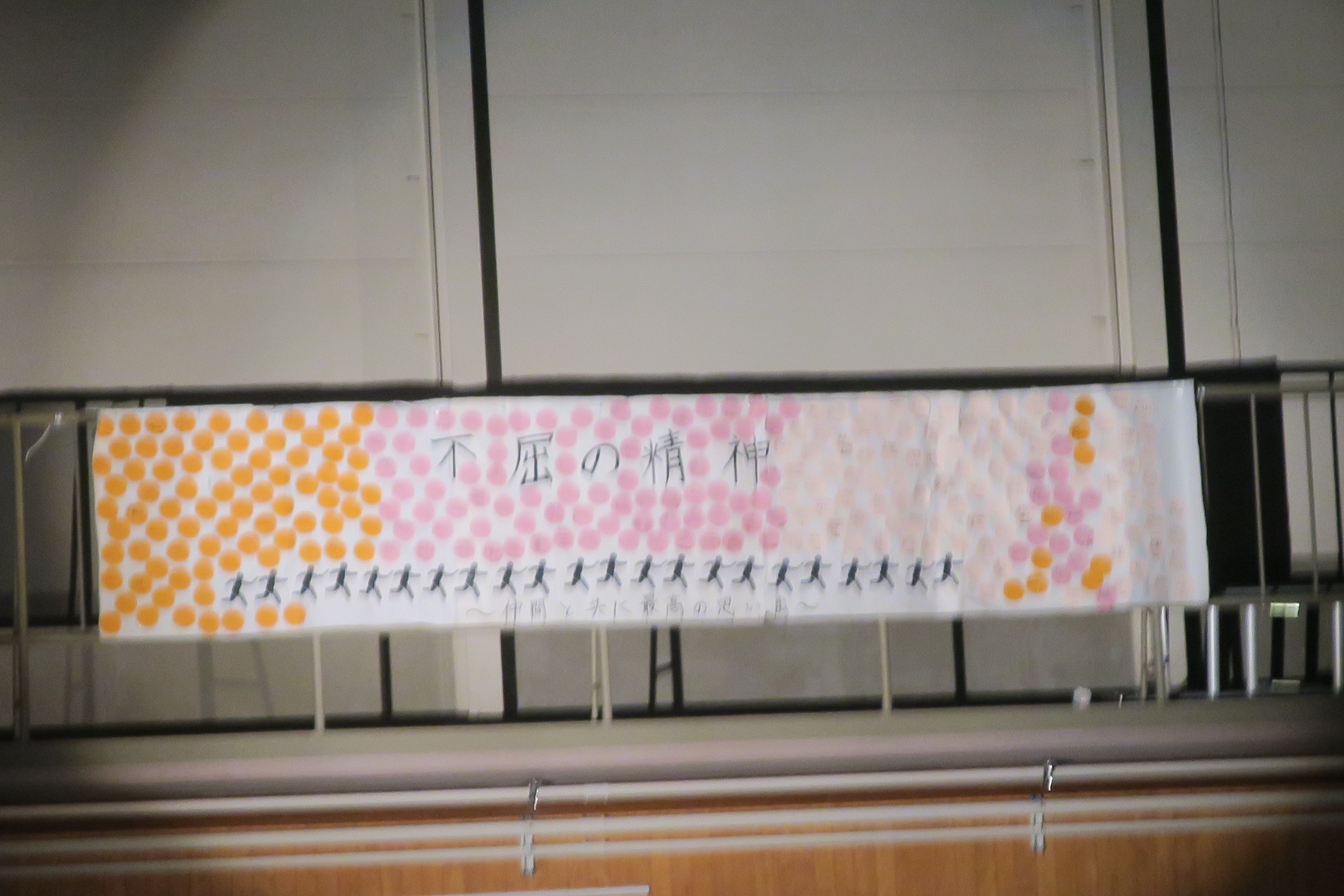 3155-2.jpg