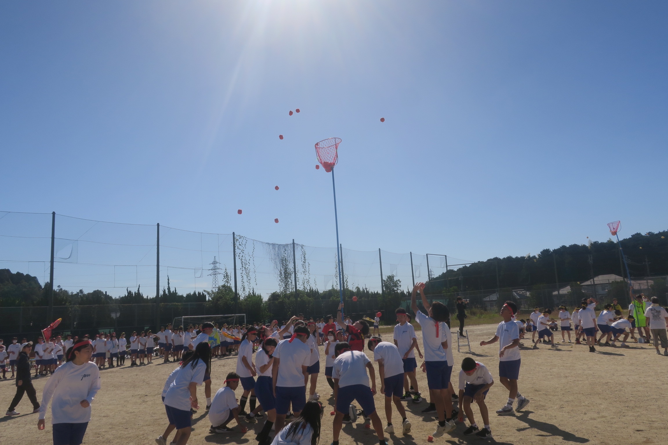 3228-3.jpg