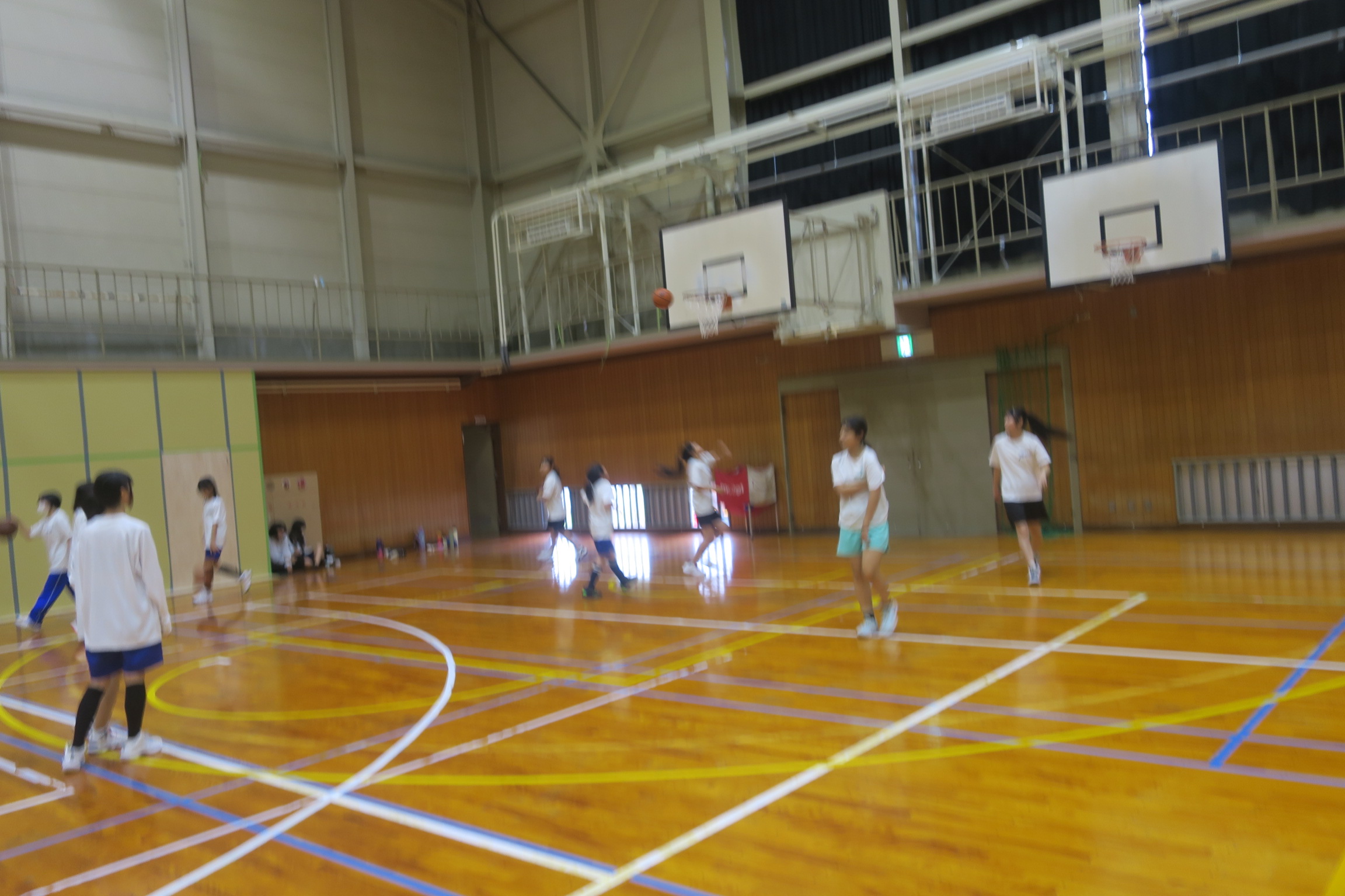 3247-1.jpg