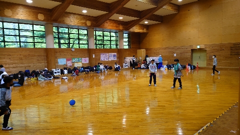 529-2.jpg