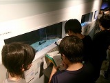 1500-3.jpg
