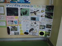 127-1.jpg