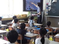 181-1.jpg