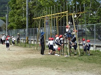 62-1.jpg