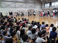 73-3.jpg