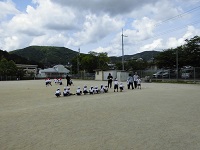 87-3.jpg