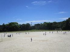 1453-1.jpg