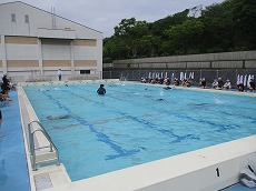 1455-1.jpg