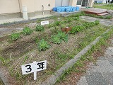 772-1.jpg