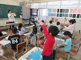 778-3.jpg