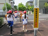 779-2.jpg