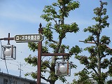 781-2.jpg