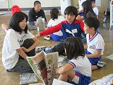 784-2.jpg