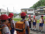 795-1.jpg