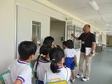 795-2.jpg